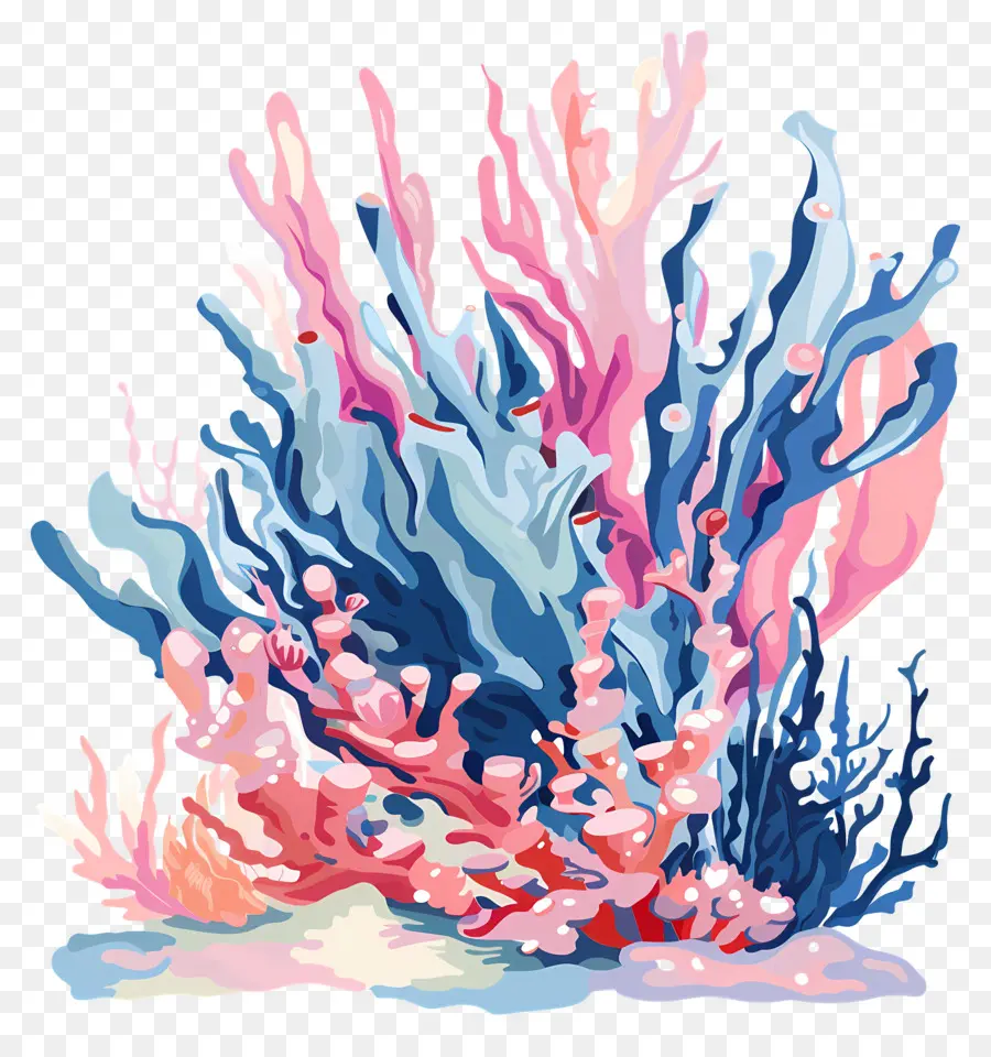 Branqueamento De Coral，Coral Colorido PNG