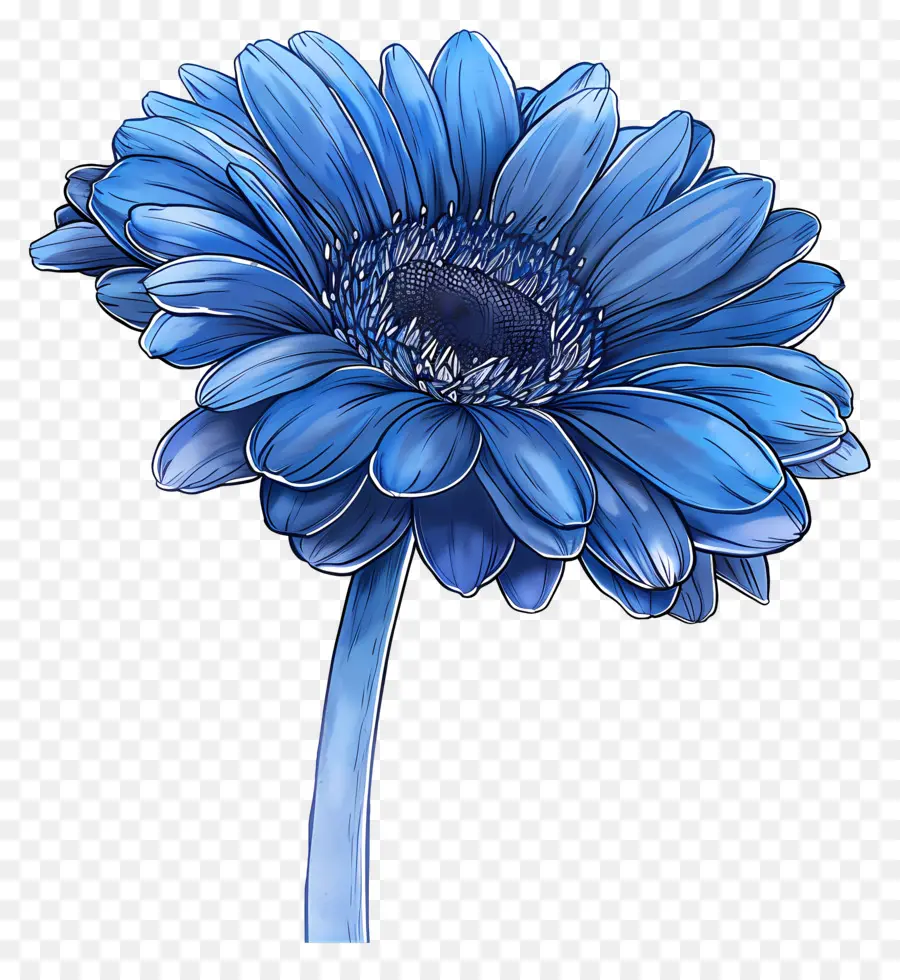 Gérbera Azul，Flor Azul PNG