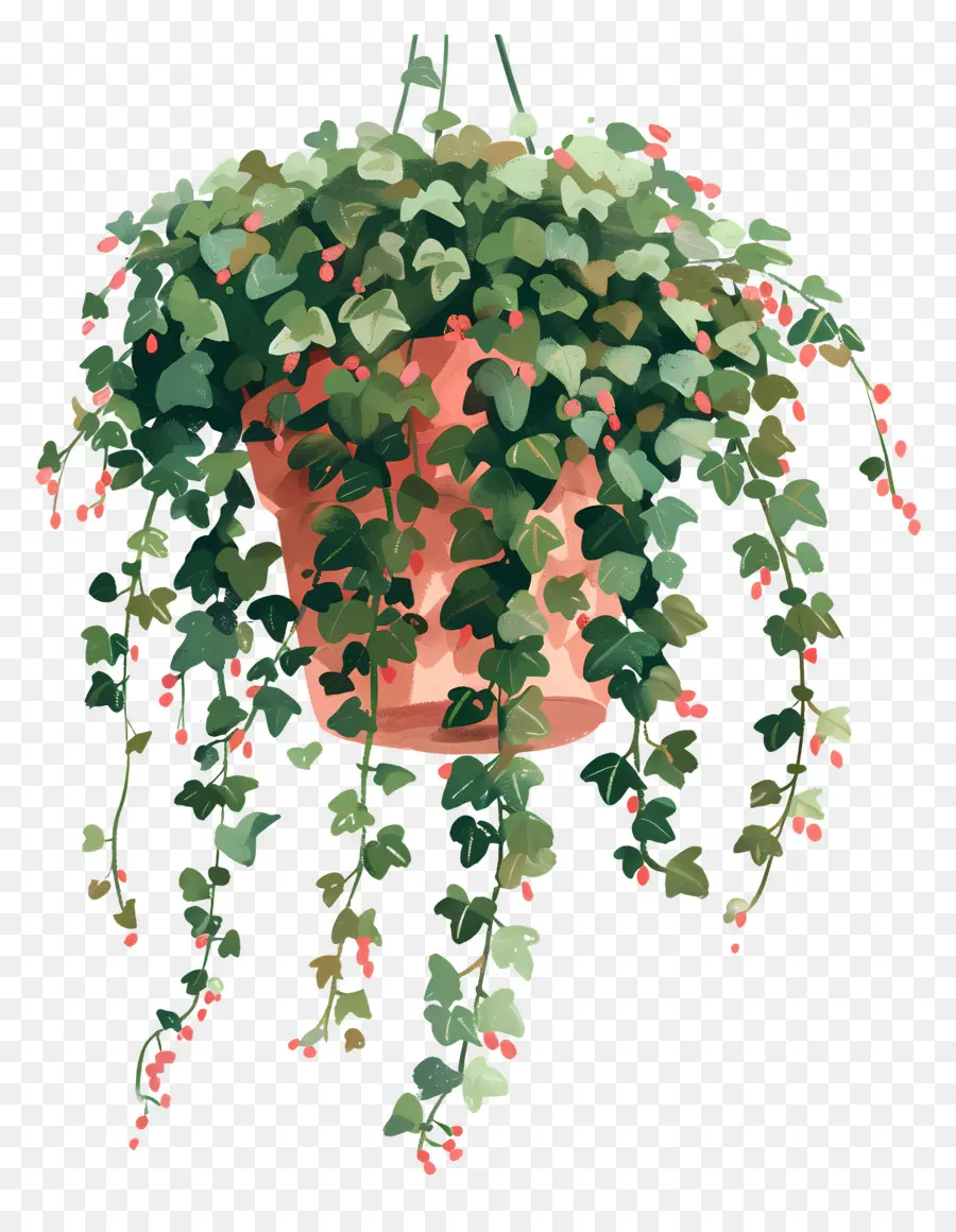 Ivy Pendurada，Suspensão Planta PNG