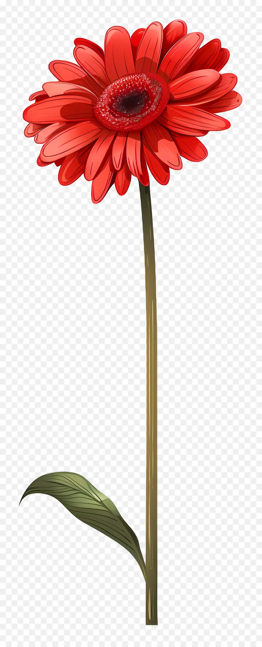 Gérbera Vermelha，Flor Vermelha PNG