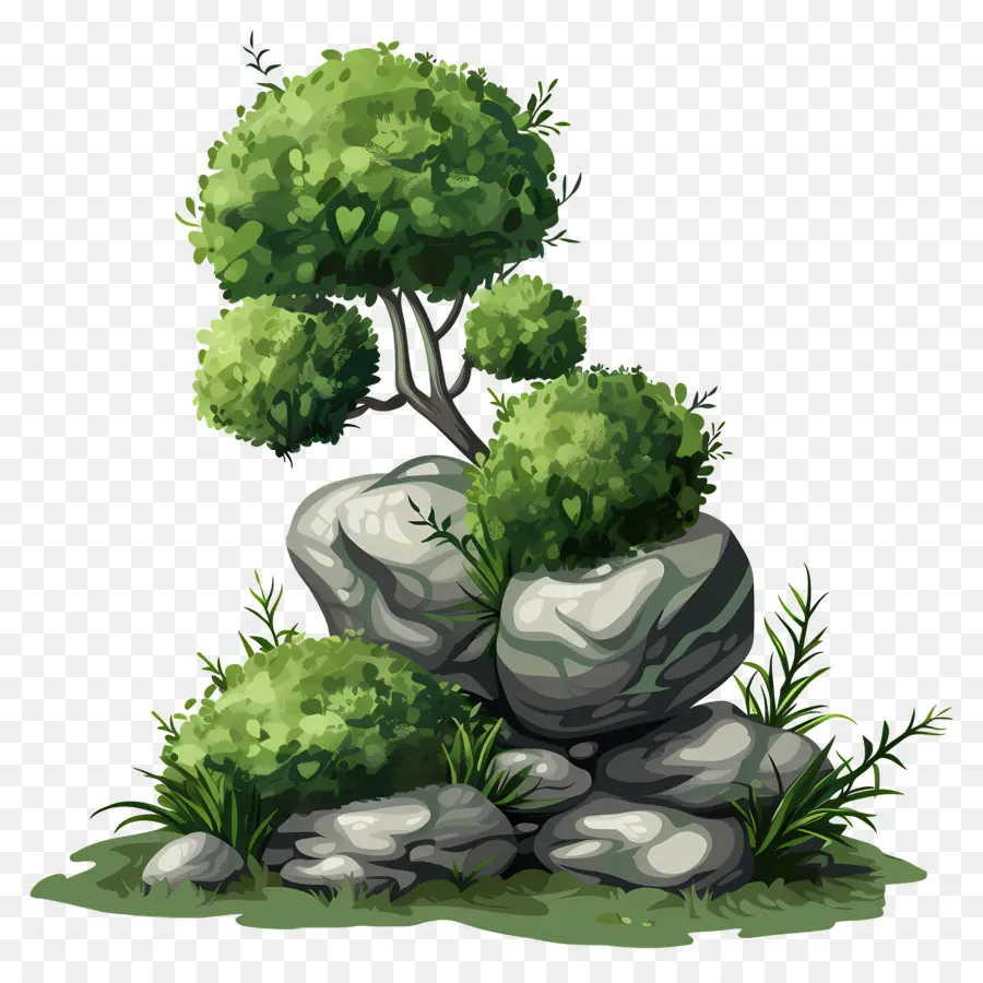 Planta De Musgo，Pedras Mossy PNG