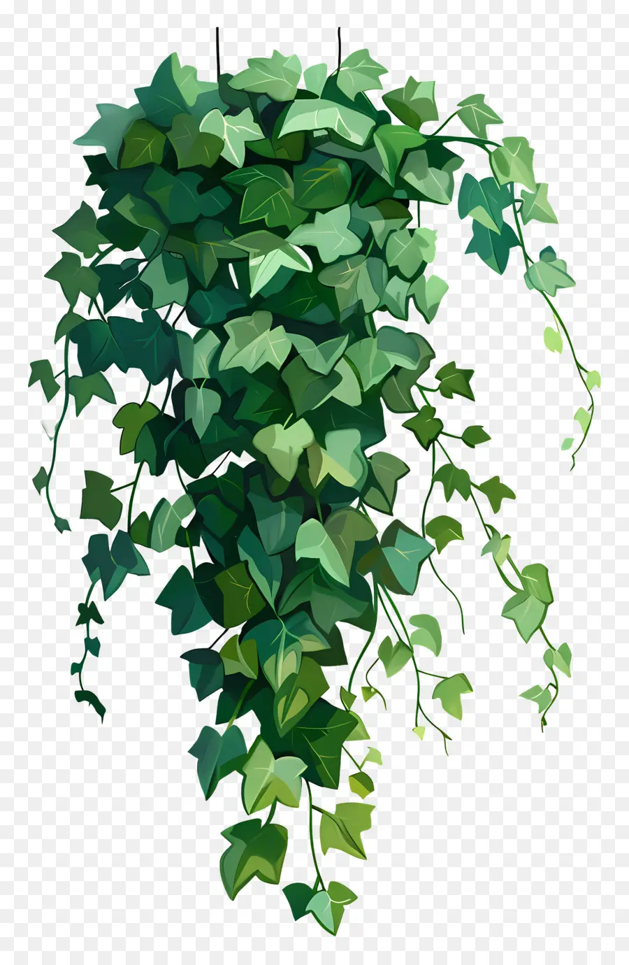 Ivy Pendurada，Suspensão Planta PNG