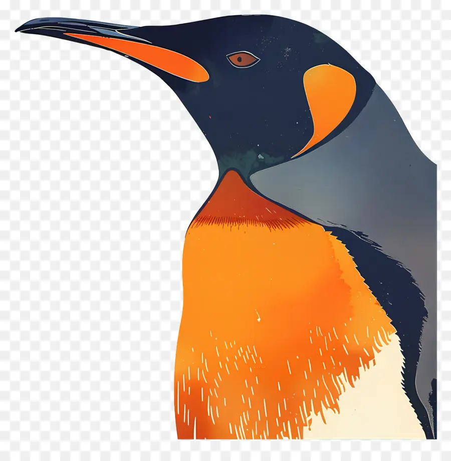 Penguin，Aves PNG