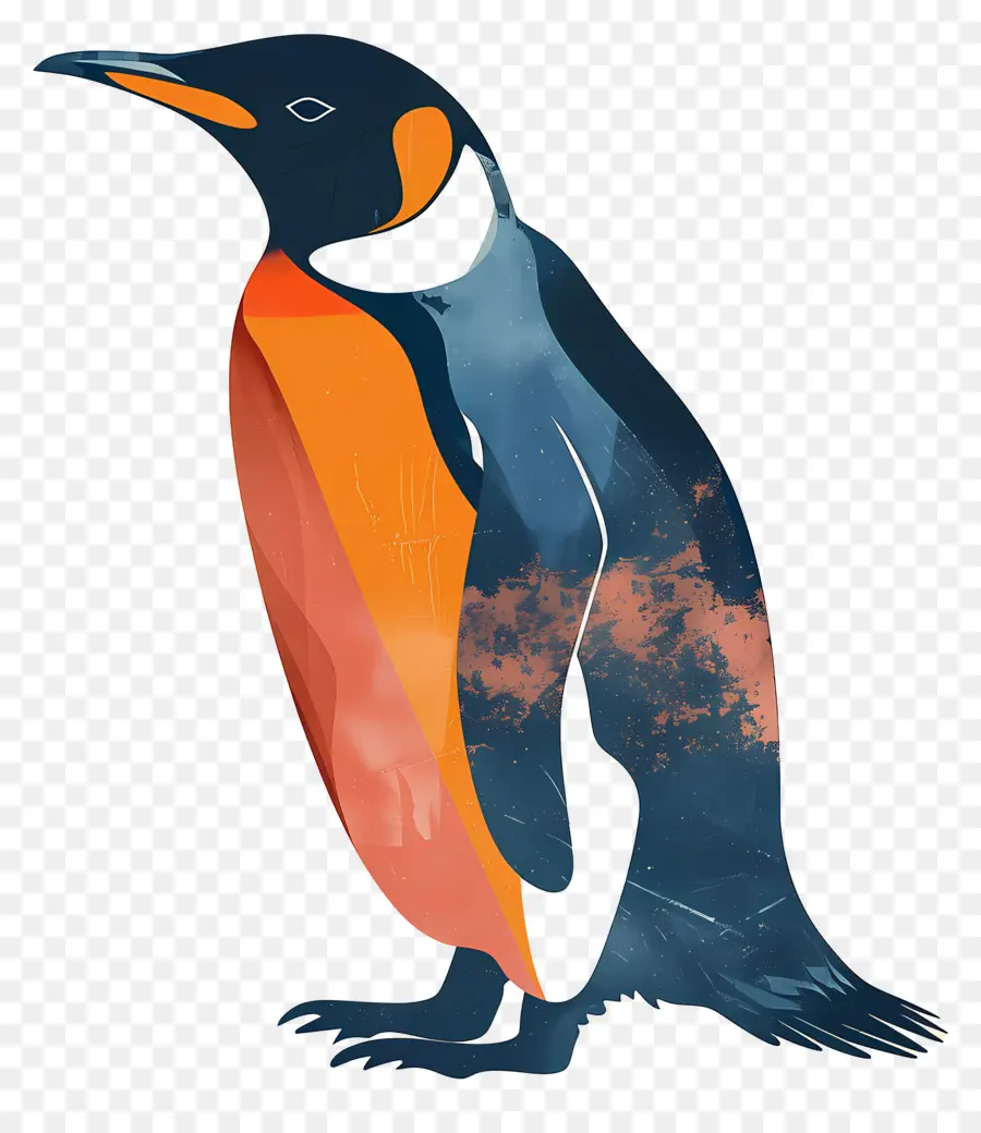 Penguin，Aves PNG