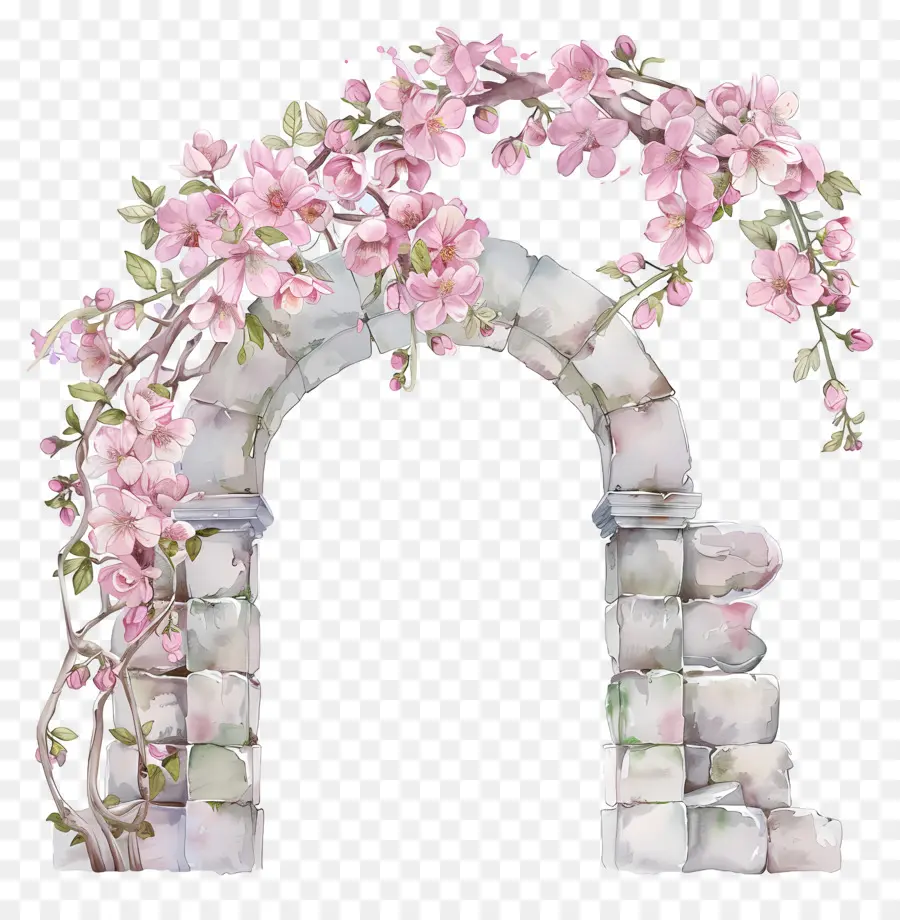 Arco Rosa Da Flor，Flor Do Arco PNG