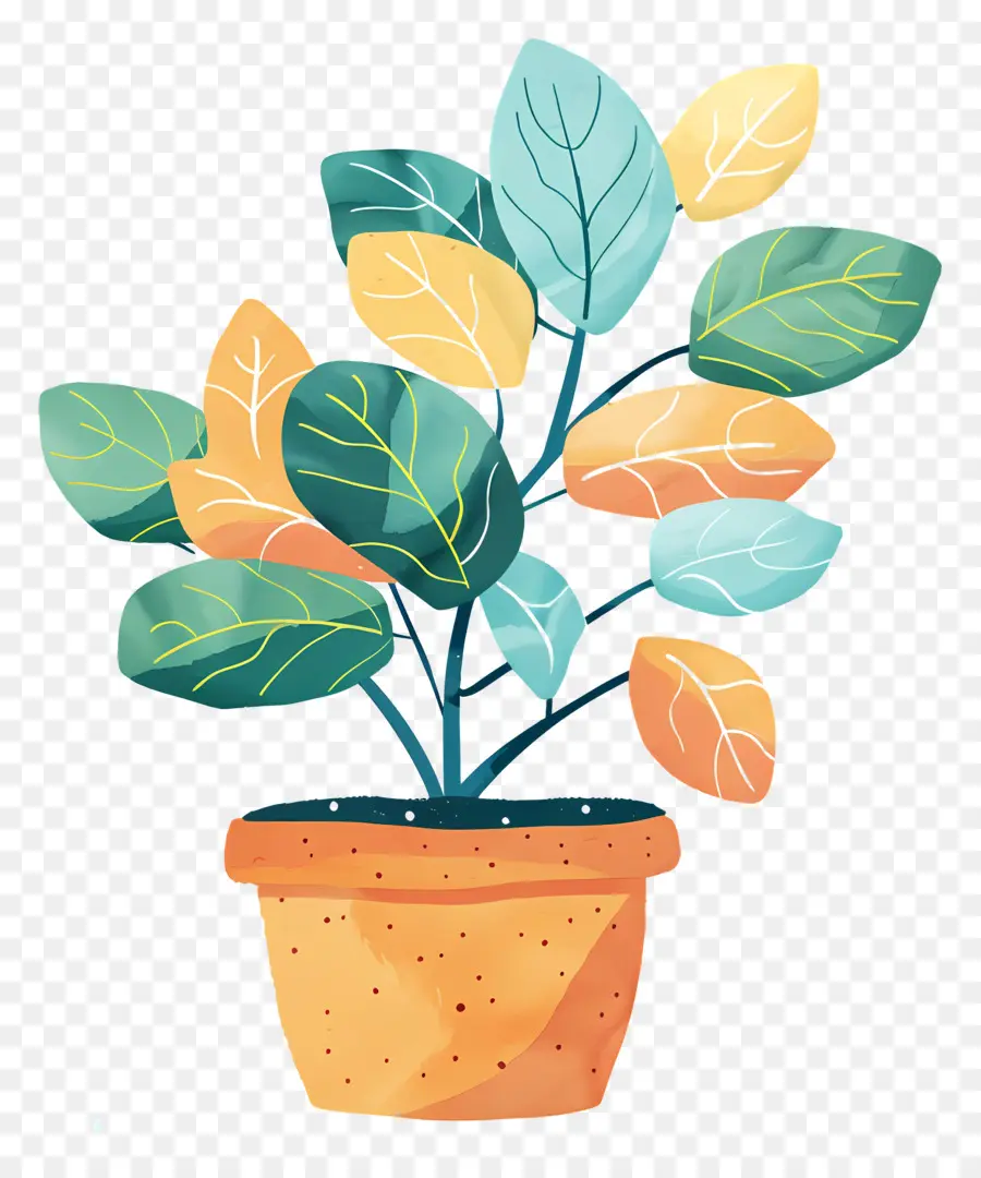 Potão De Planta Interna，Planta De Vaso PNG