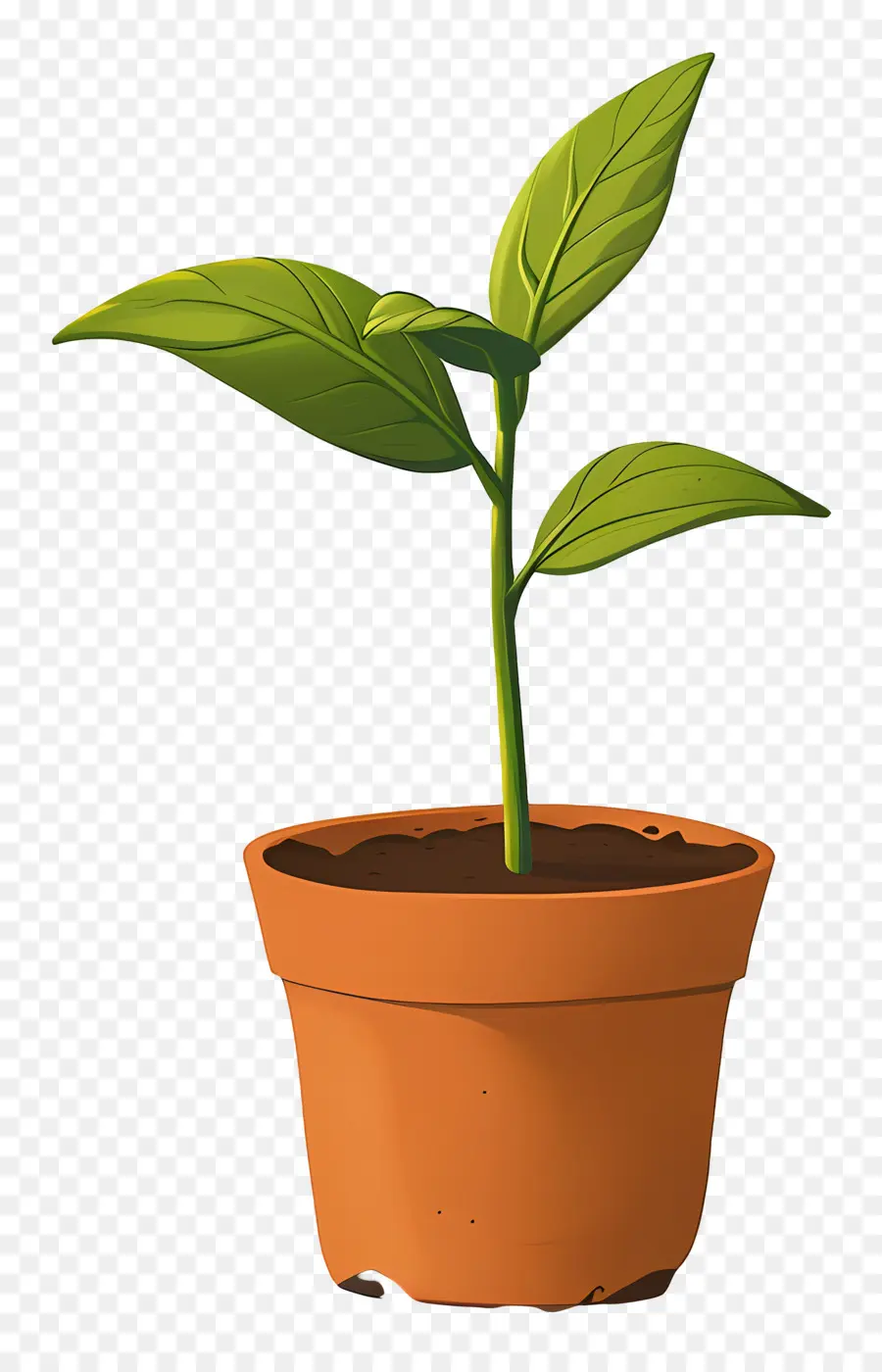 Planta De Broto Verde，Planta Verde PNG