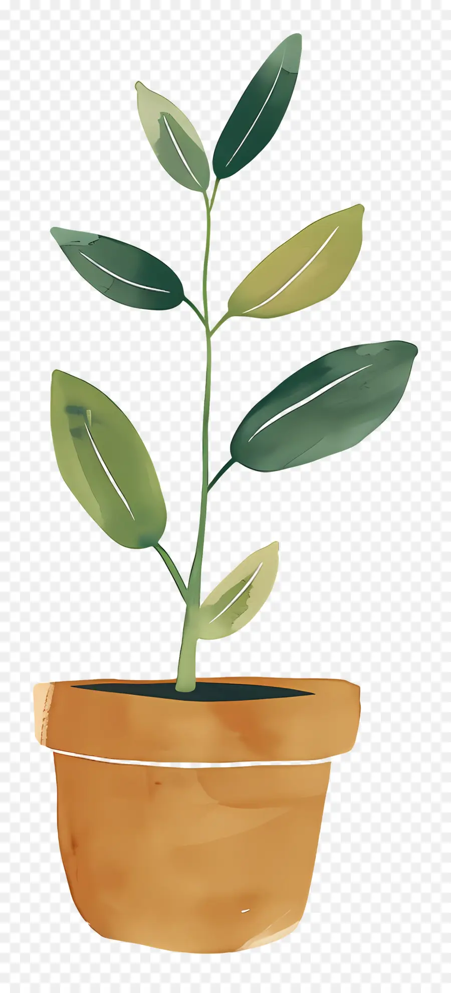 Planta De Broto Verde，Planta Em Vaso PNG