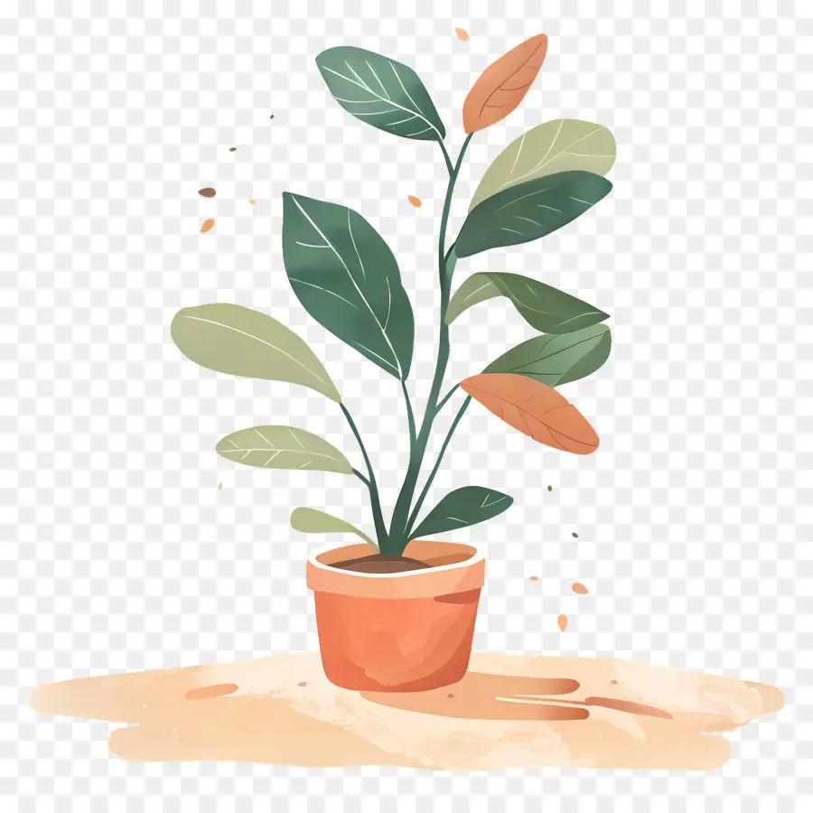 Vaso De Plantas Para Interior，Planta Em Vaso PNG