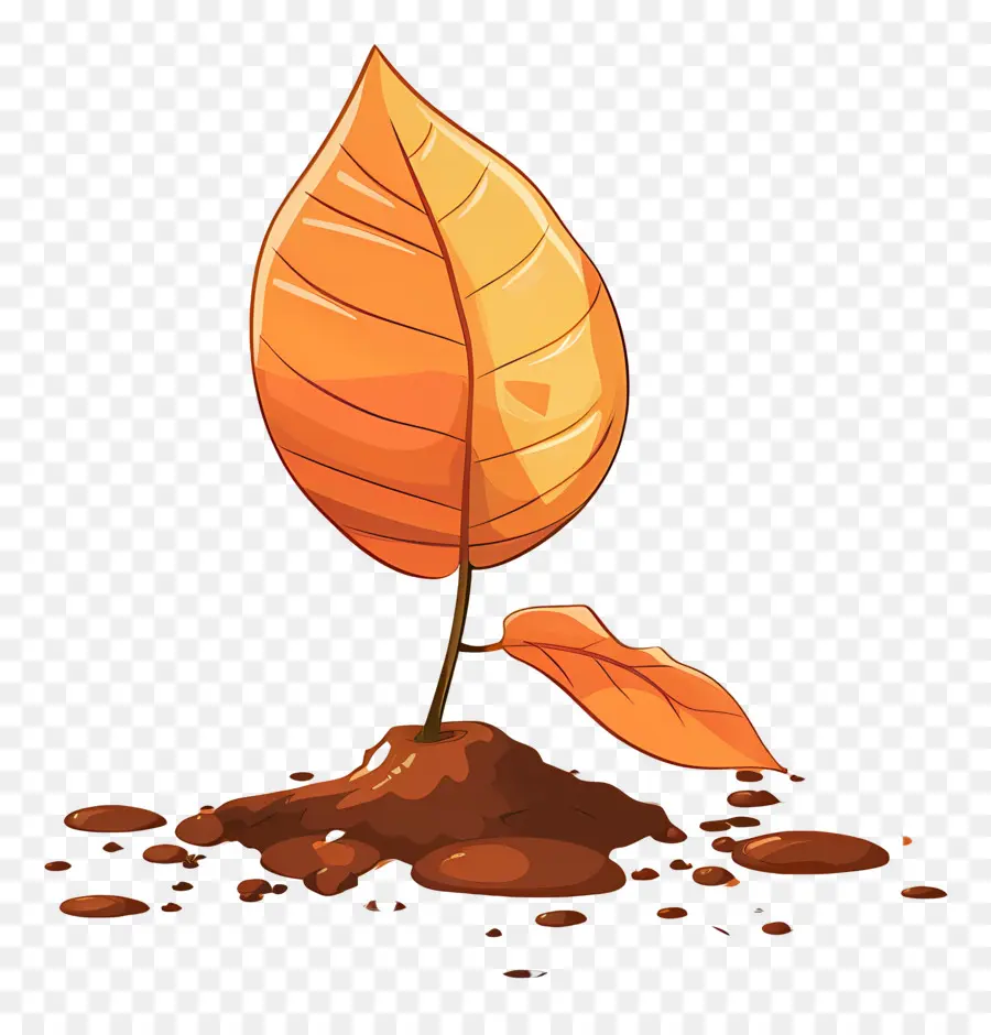 Folha De Outono No Solo，Autumn Leaf PNG