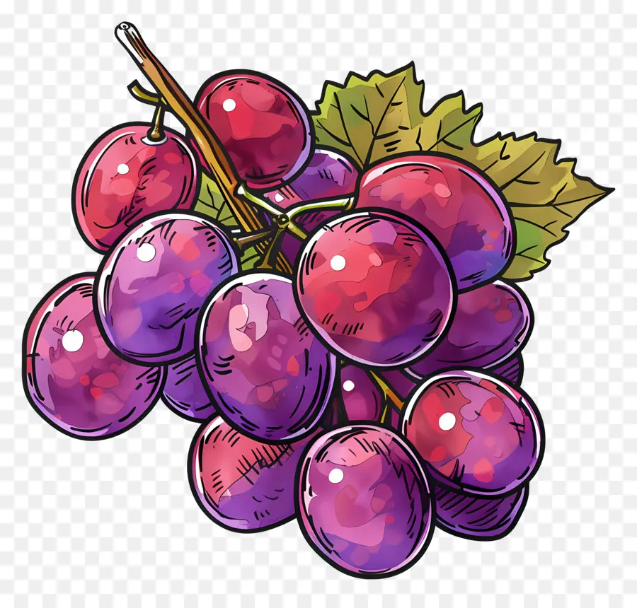 As Uvas Vermelhas，Uvas PNG