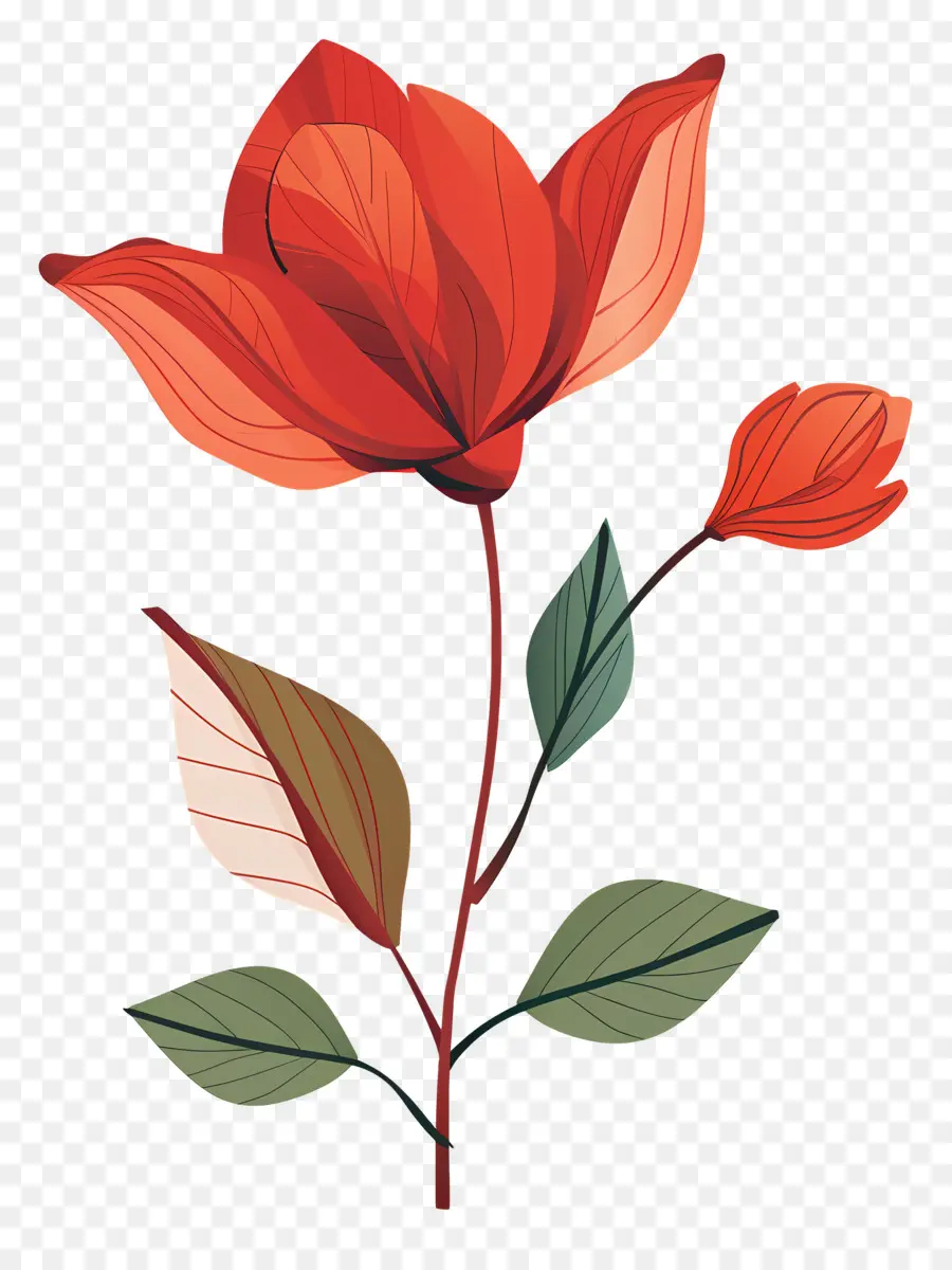 Flor Vermelha，Folhas PNG