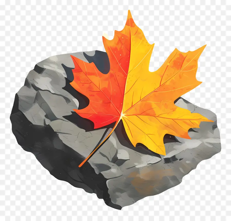 Folha De Outono Na Rocha，Maple Leaf PNG