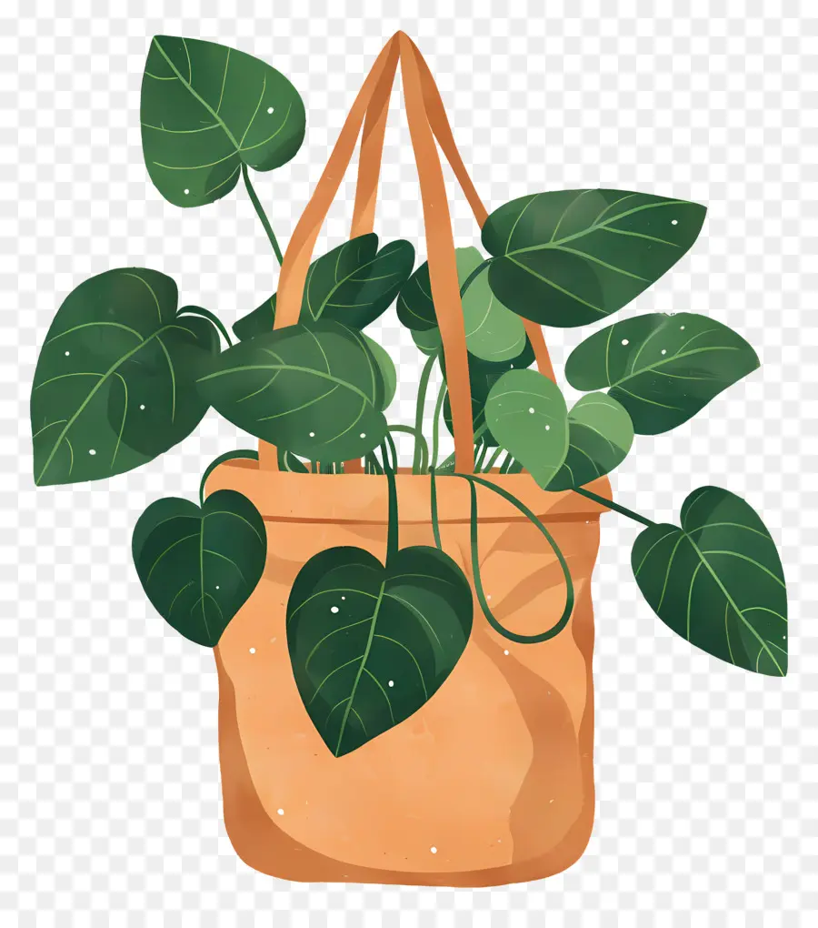 Saco De Plantas，Plantar Em Saco PNG