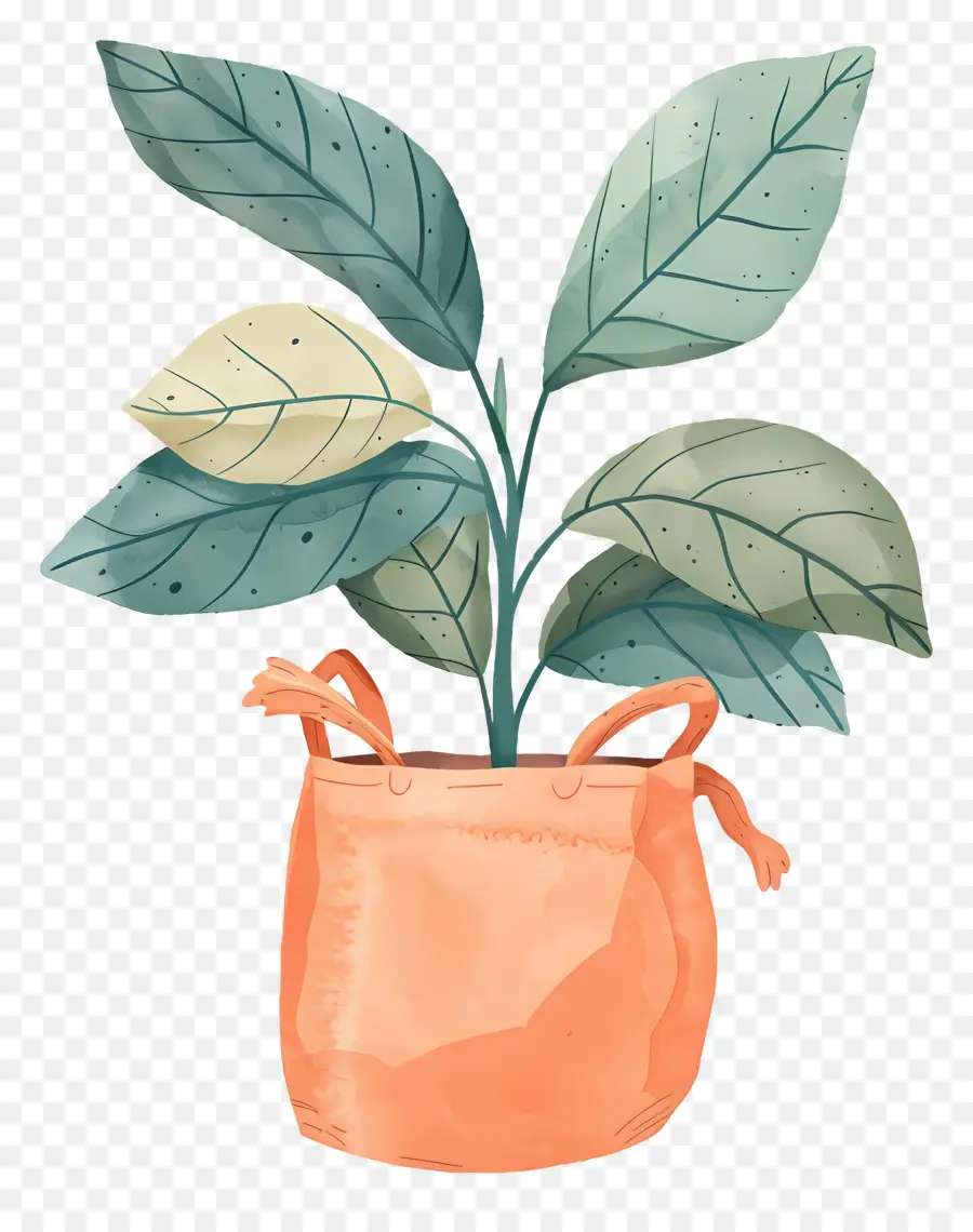 Saco De Plantas，Planta De Vaso PNG