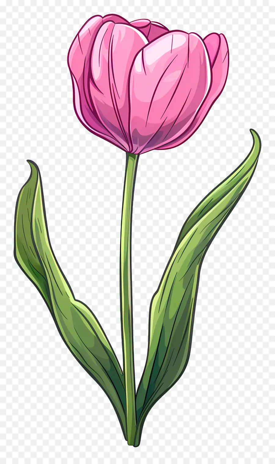 Tulip Flor，Azul Tulip PNG