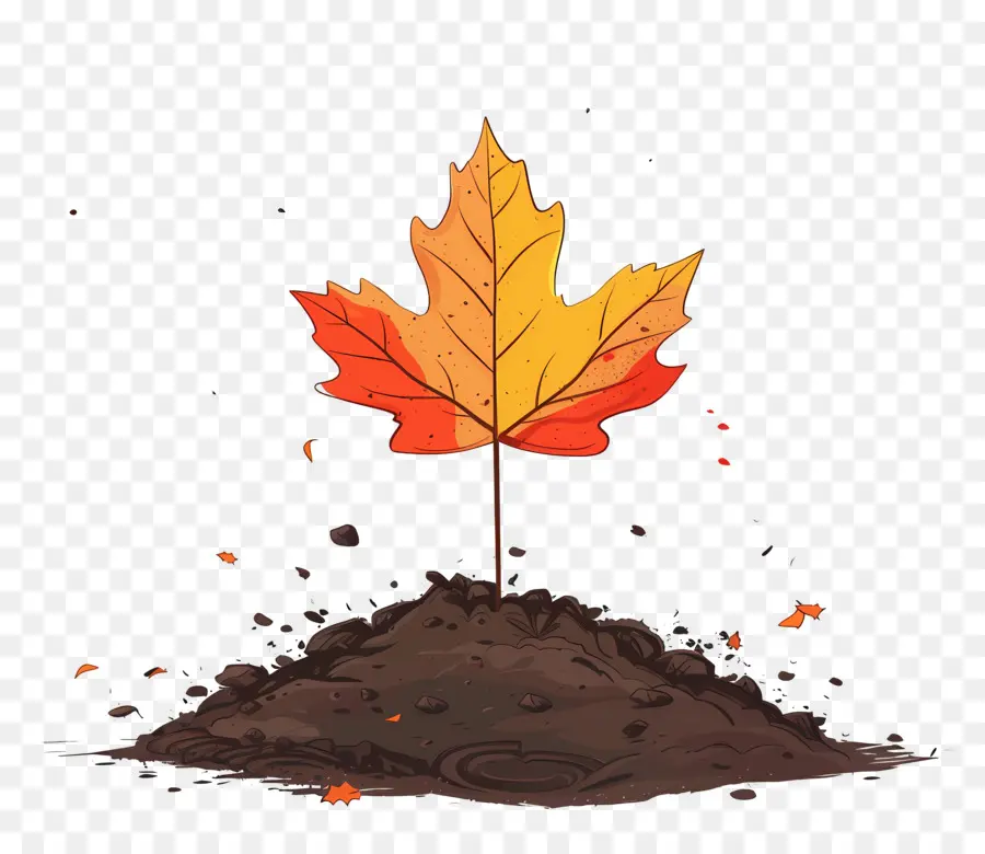 Folha De Outono No Solo，Autumn Leaf PNG