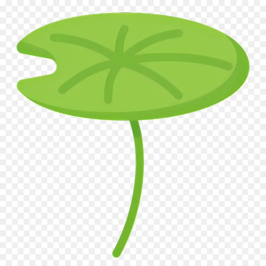 Folha De Lótus，Lily Pad PNG