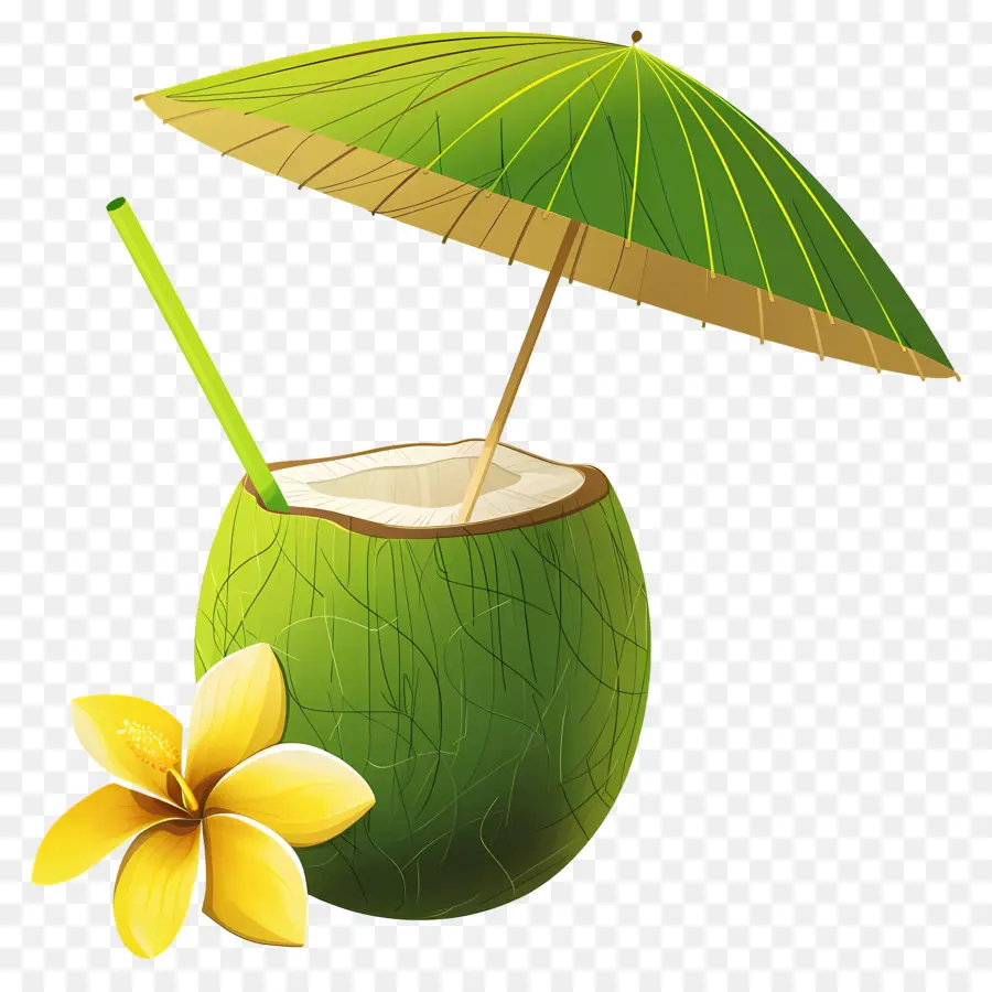 Bebida De Coco，Guarda Chuva PNG