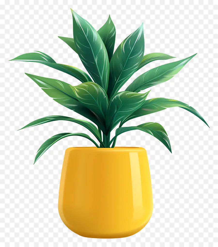 Planta Interna，Planta De Vaso PNG