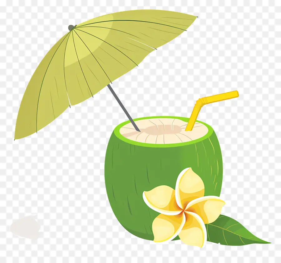 Bebida De Coco，Guarda Chuva PNG