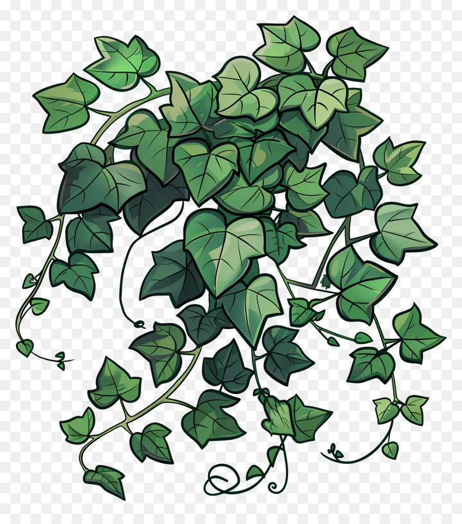 Ivy De Jardim，Verde Hera PNG