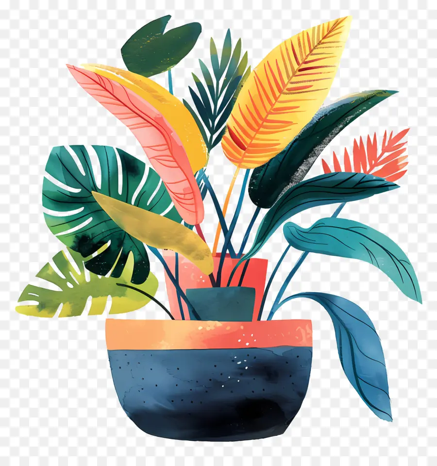 Vaso De Plantas Para Interior，Planta Em Vaso PNG