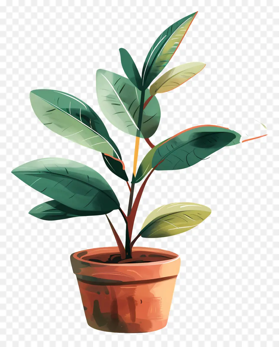 Potão De Planta Interna，Planta De Vaso PNG