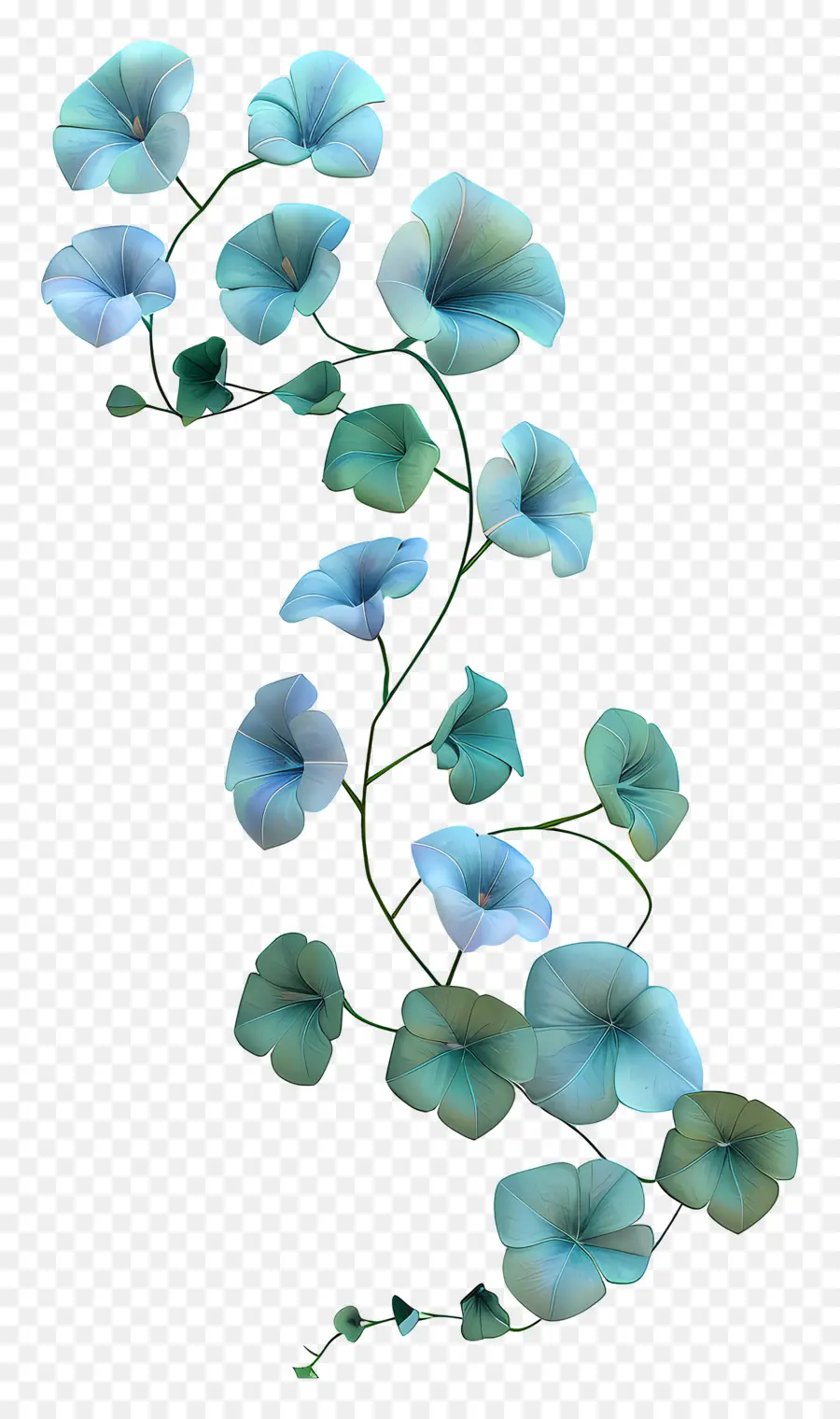 Flor De Vinha，Vinha De Glória Da Manhã Azul PNG