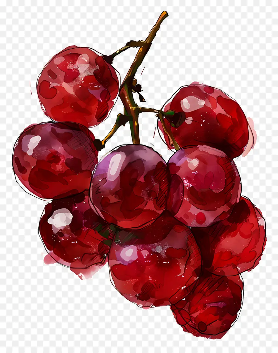 As Uvas Vermelhas，Cluster PNG