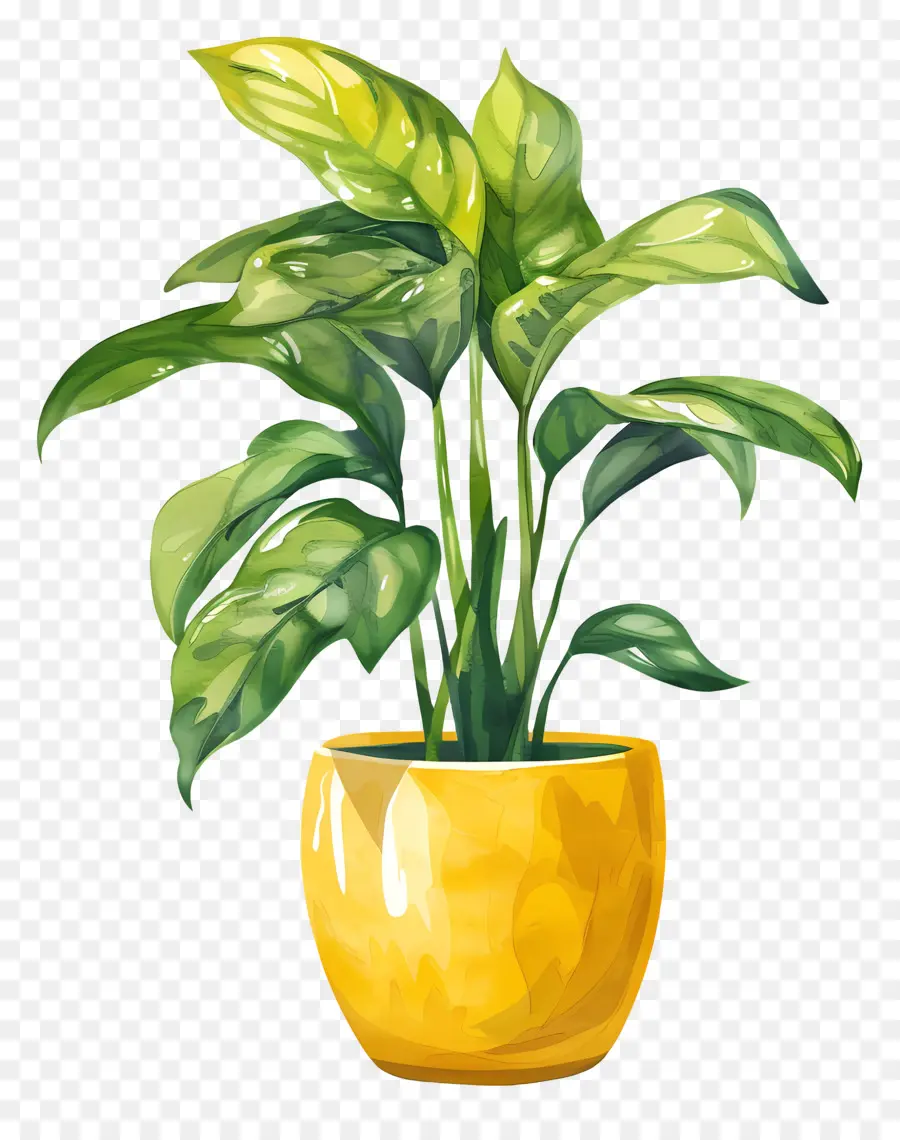 Planta Interna，Planta Em Vaso Verde PNG