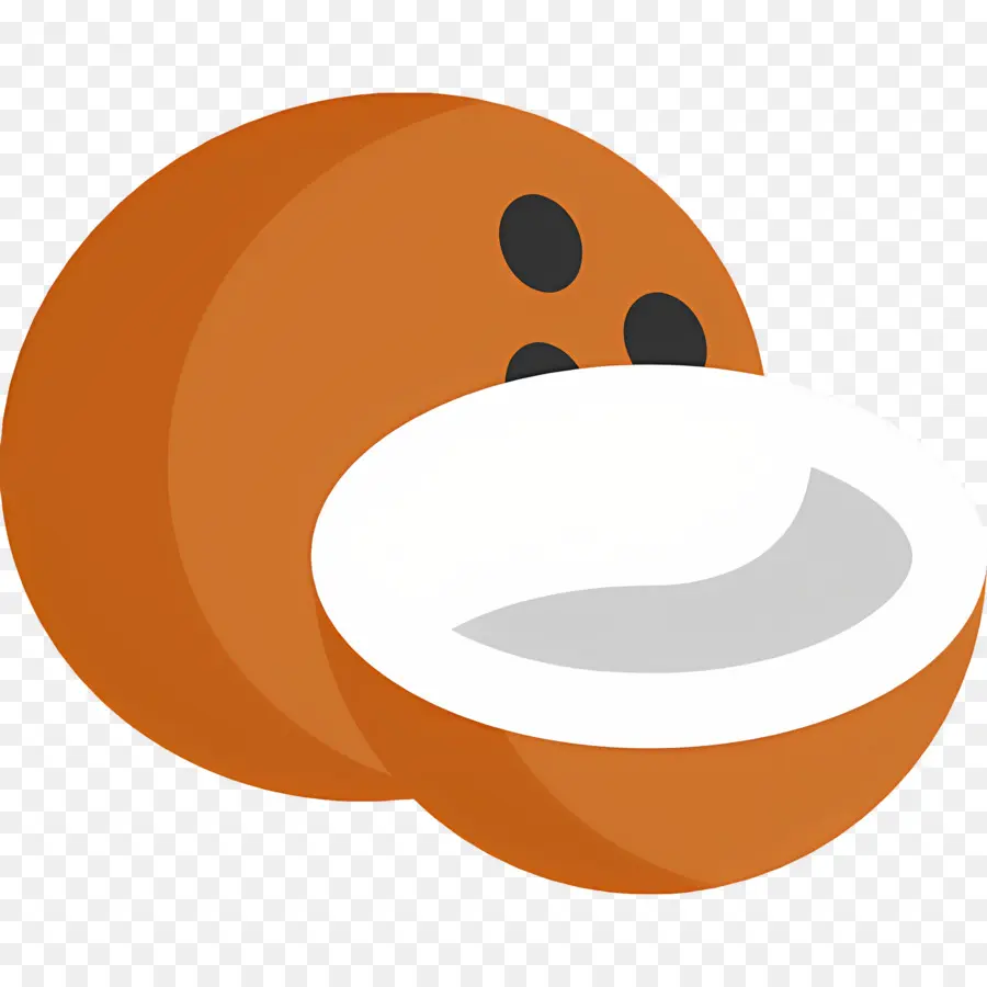 Casca De Coco，Coco PNG