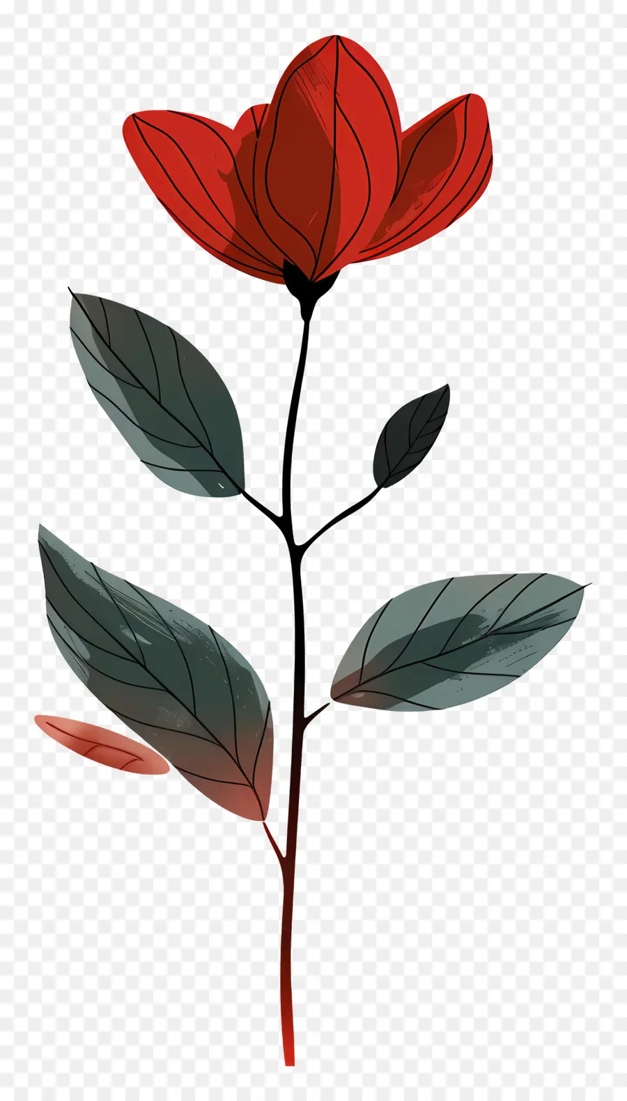 Flor Vermelha，Flor PNG