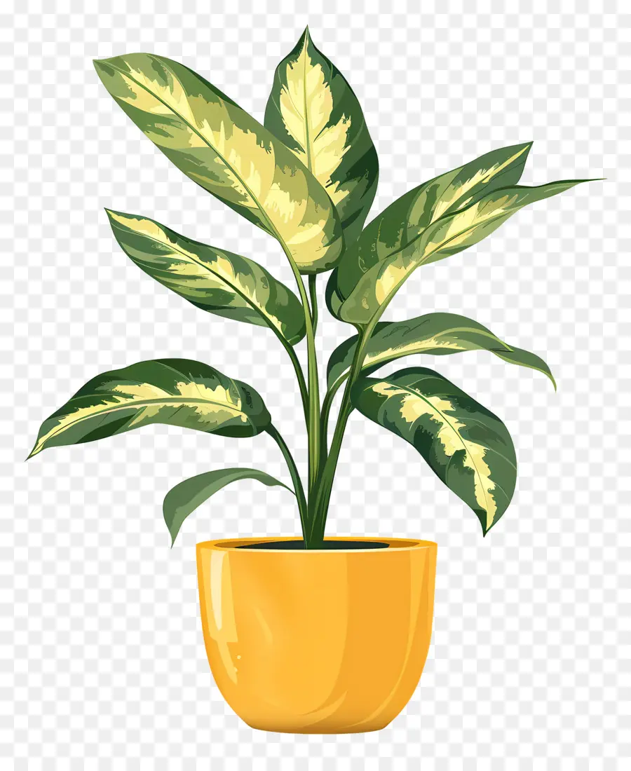 Planta Interna，Planta De Vaso PNG