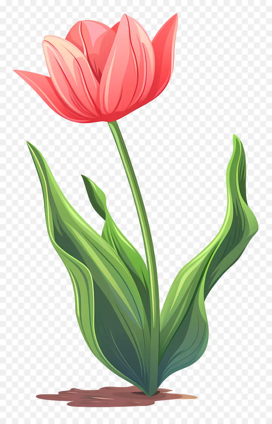 Tulip Flor，Rosa Tulipa PNG