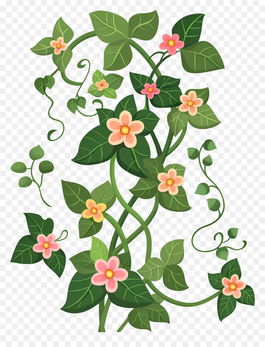 Ivy De Jardim，Vinha PNG