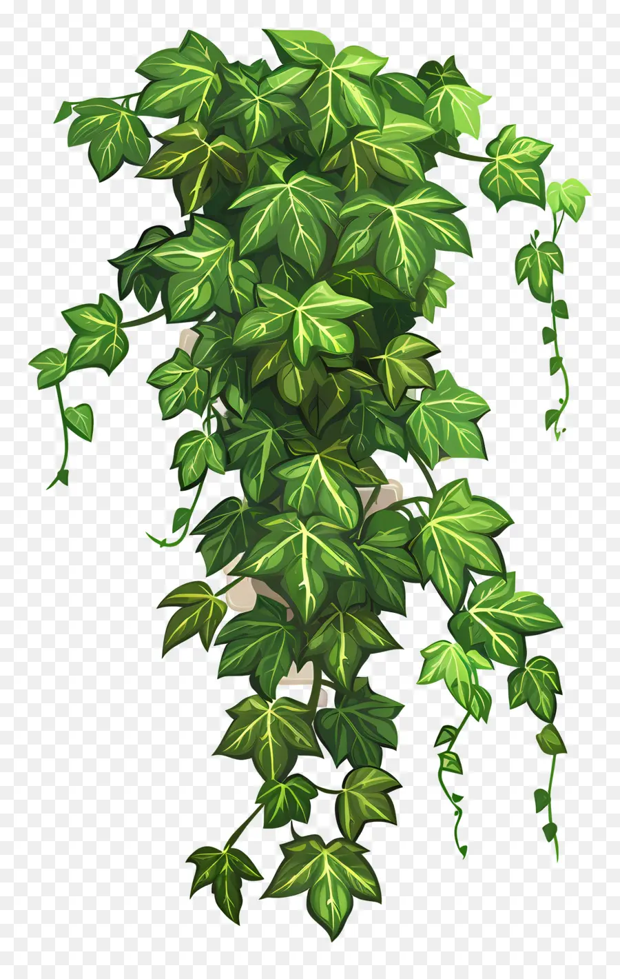 Hera De Jardim，Planta De Hera PNG