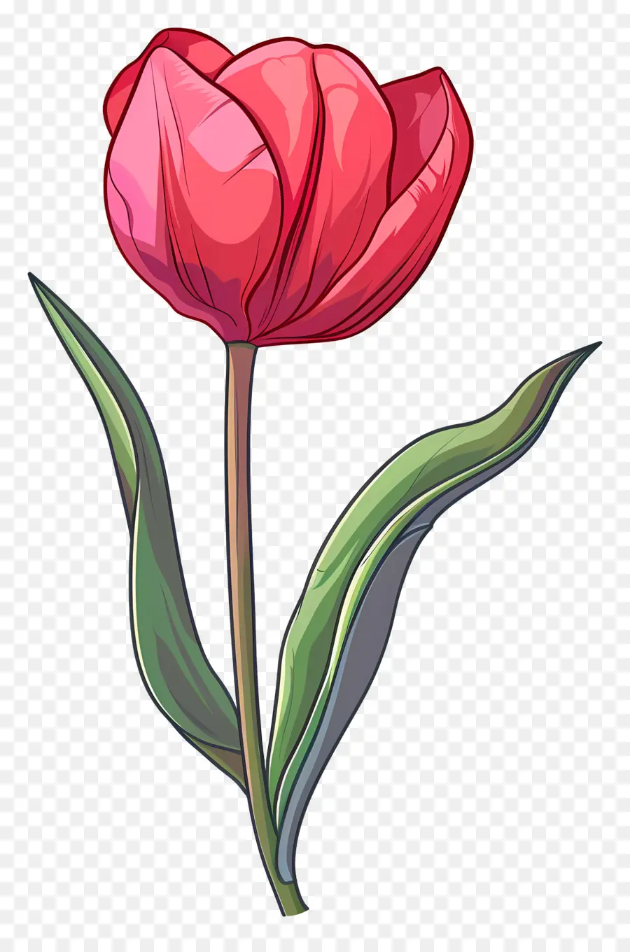 Tulip Flor，Flor Rosa PNG