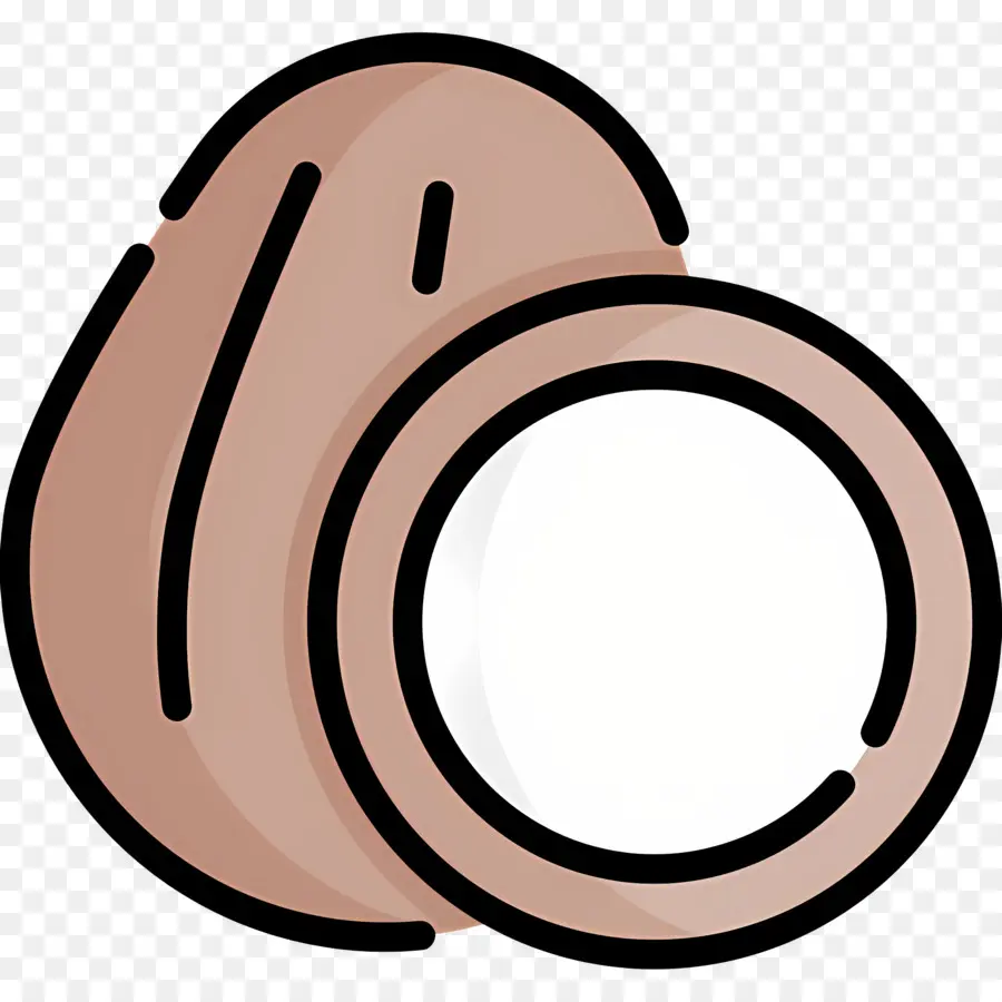 Casca De Coco，Coco PNG