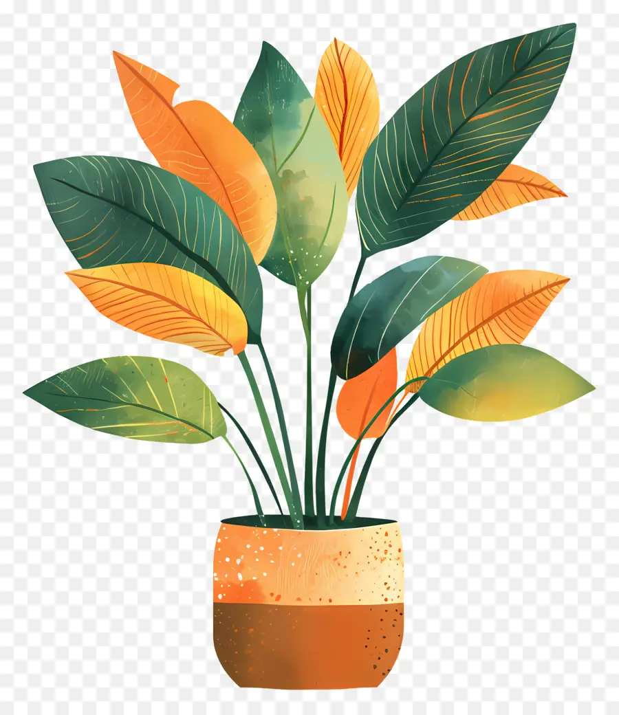 Potão De Planta Interna，Planta De Vaso PNG