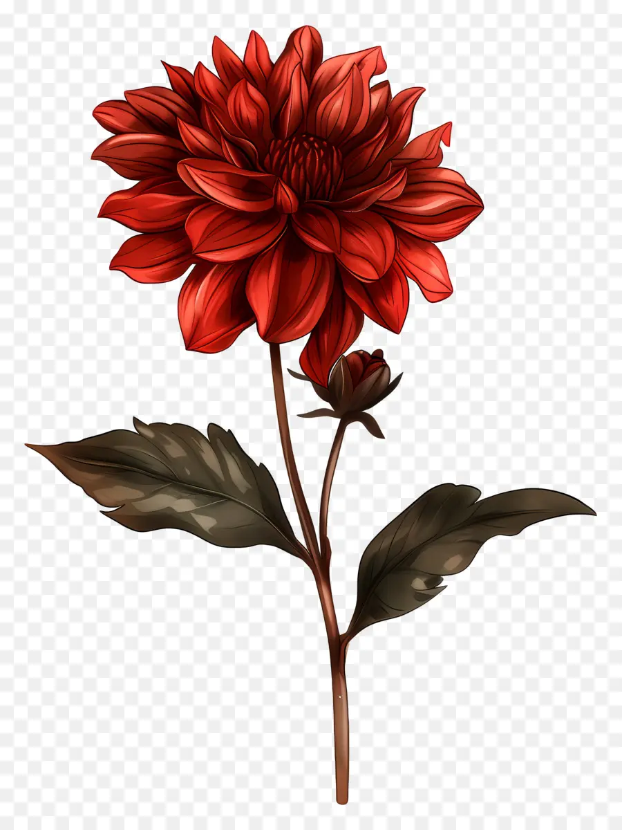 Flor Vermelha，Flor PNG