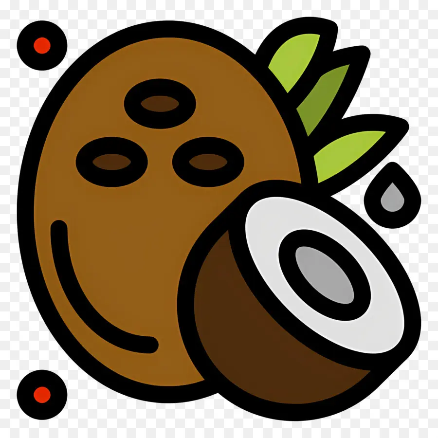 Casca De Coco，Coco PNG