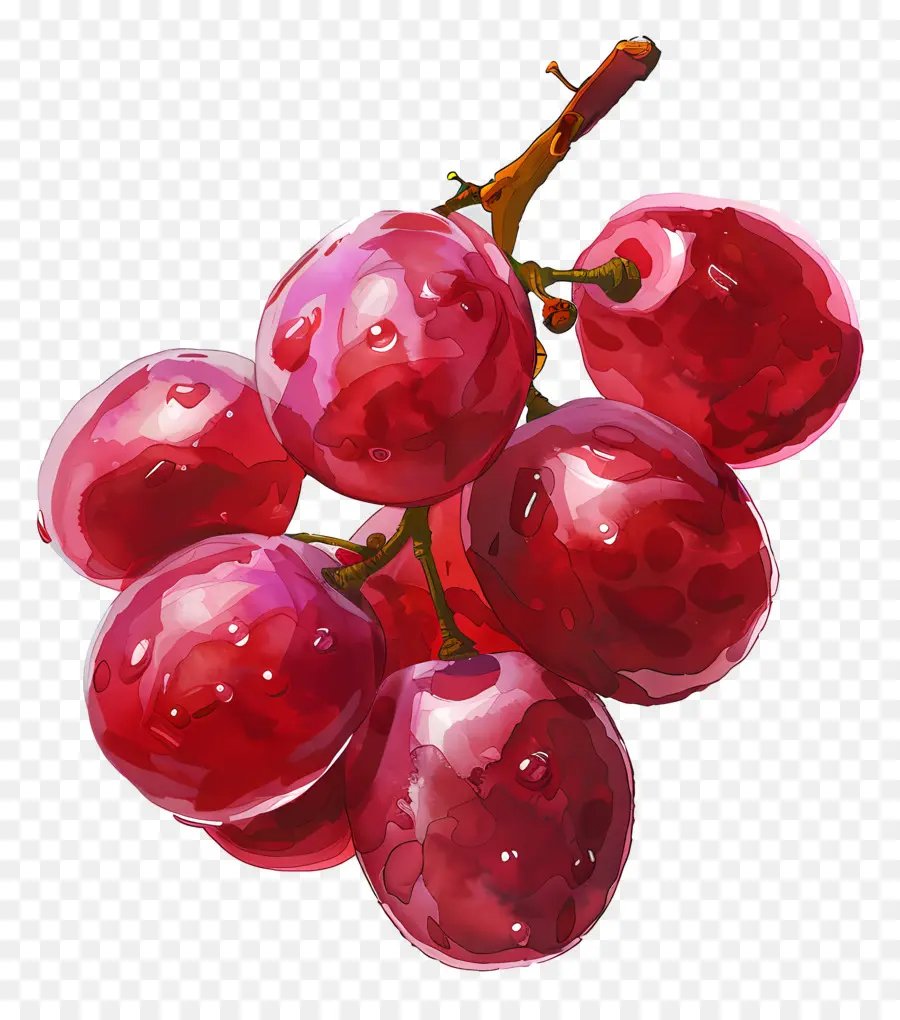 Uvas Vermelhas，Uvas PNG