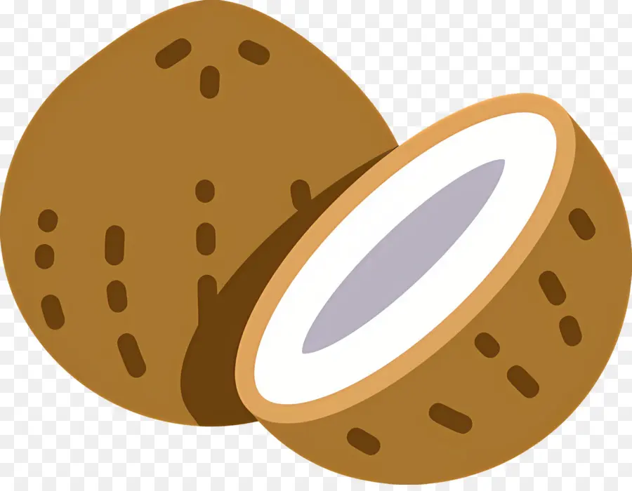 Casca De Coco，Coco PNG