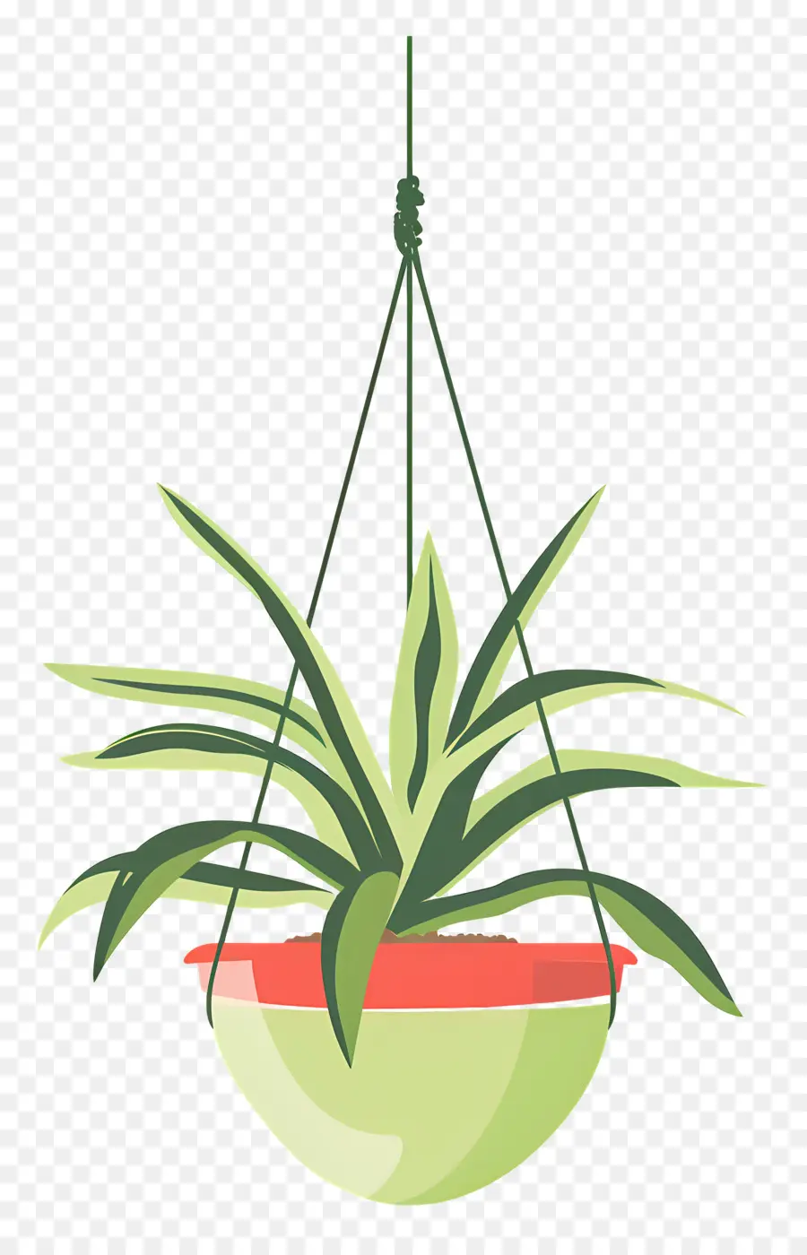 Cabide De Planta，Suspensão Planta PNG