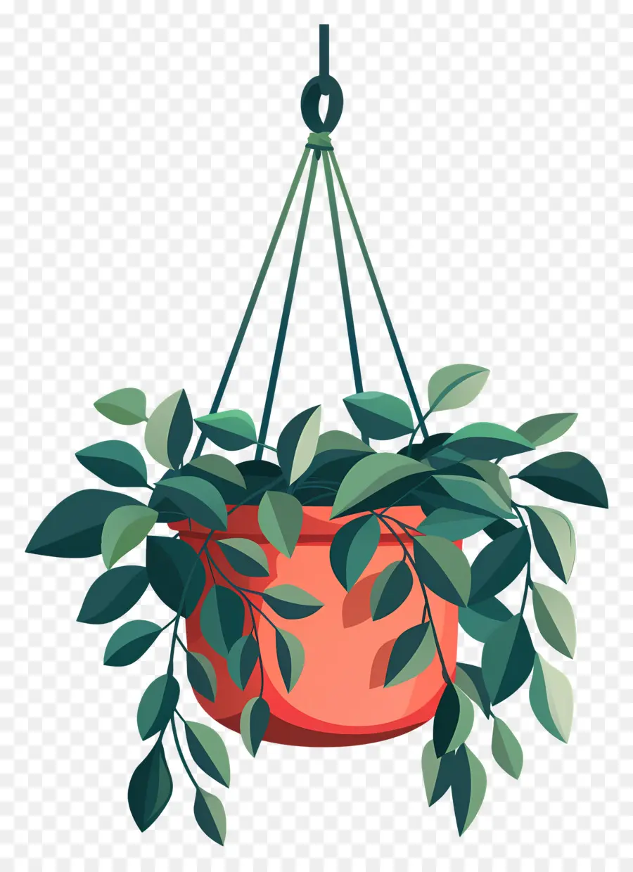 Cabide De Plantas，Planta Suspensa PNG