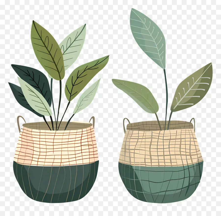 Plantas Na Cesta，Plantas Em Cestos PNG