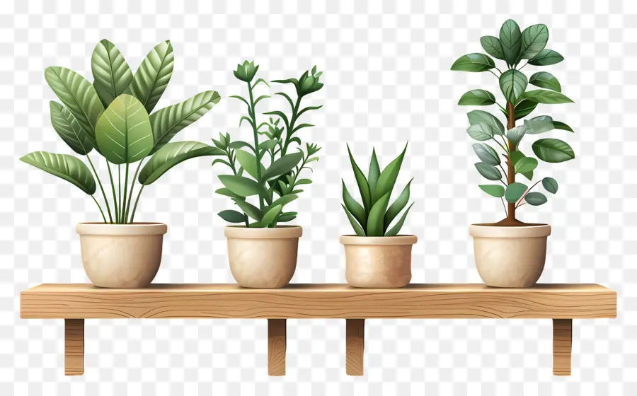 Vasos De Plantas，Greenery PNG