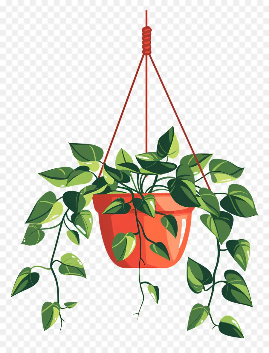 Cabide De Plantas，Planta Suspensa PNG