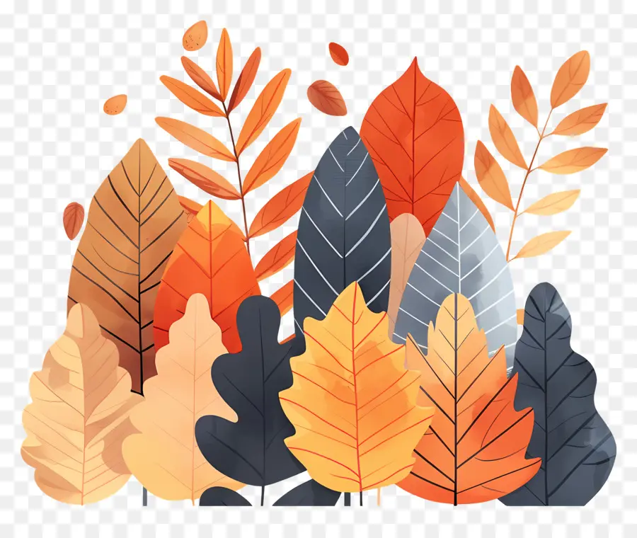 Autumn Leaves，Queda PNG